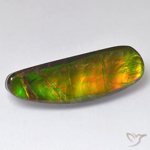 11.01ct 자연스러운 다색 암몰라이트, 팬시한, 불투명체