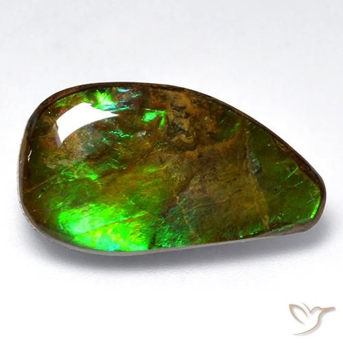 12.04ct 자연스러운 다색 암몰라이트, 팬시한, 불투명체