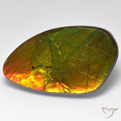 22.28ct 자연스러운 다색 암몰라이트, 팬시한, 불투명체