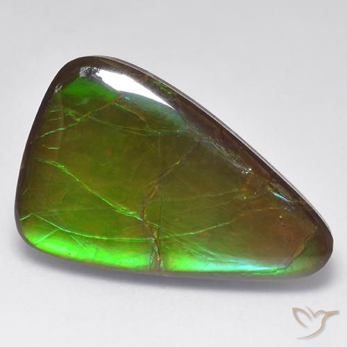 16.16ct 자연스러운 다색 암몰라이트, 팬시한, 불투명체