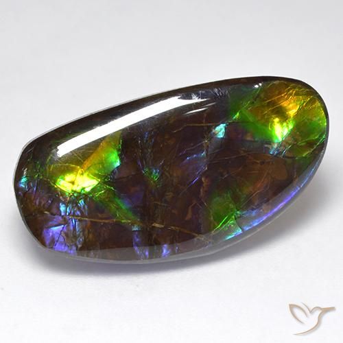 16.71ct 자연스러운 다색 암몰라이트, 팬시한, 불투명체