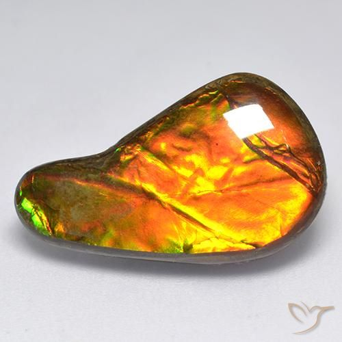 13.11ct 자연스러운 다색 암몰라이트, 팬시한, 불투명체