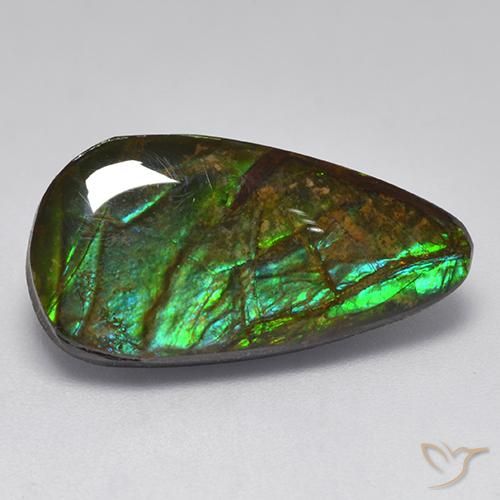 10.04ct 자연스러운 다색 암몰라이트, 팬시한, 불투명체