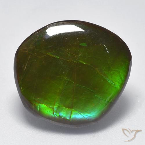 10.26ct 자연스러운 다색 암몰라이트, 팬시한, 불투명체