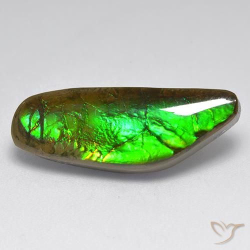9.60ct 자연스러운 다색 암몰라이트, 팬시한, 불투명체