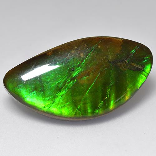 20.84캐럿 천연 멀티컬러 암몰라이트, 멋진 모양, 29.5×15.6 mm, 불투명체