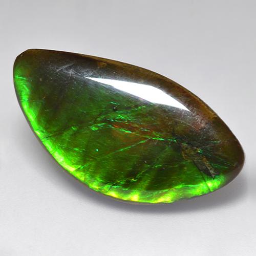 20.84캐럿 천연 멀티컬러 암몰라이트, 멋진 모양, 29.5×15.6 mm, 불투명체