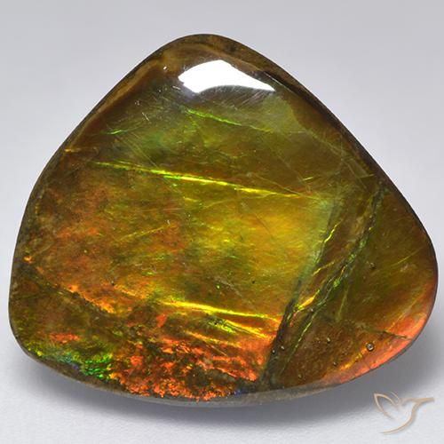18.32ct 자연스러운 다색 암몰라이트, 팬시한, 불투명체