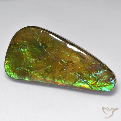 23.60ct 자연스러운 다색 암몰라이트, 팬시한, 불투명체