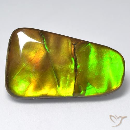 18.48ct 자연스러운 다색 암몰라이트, 팬시한, 불투명체