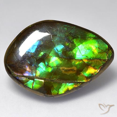 13.64ct 자연스러운 다색 암몰라이트, 팬시한, 불투명체