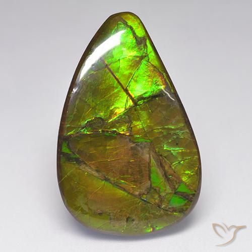 23.14ct 자연스러운 다색 암몰라이트, 팬시한, 불투명체