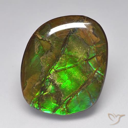 19.23ct 자연스러운 다색 암몰라이트, 팬시한, 불투명체