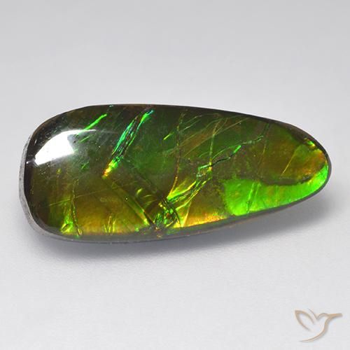 9.58ct 자연스러운 다색 암몰라이트, 팬시한, 불투명체