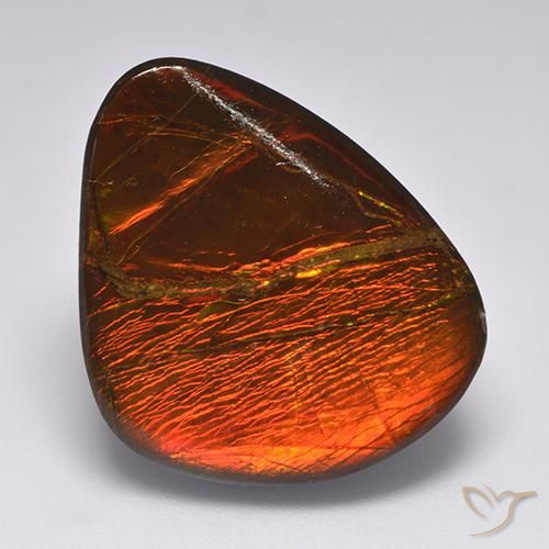 22.11ct 자연스러운 다색 암몰라이트, 팬시한, 불투명체