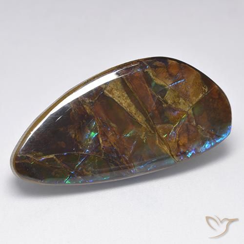 19.90ct 자연스러운 다색 암몰라이트, 팬시한, 불투명체
