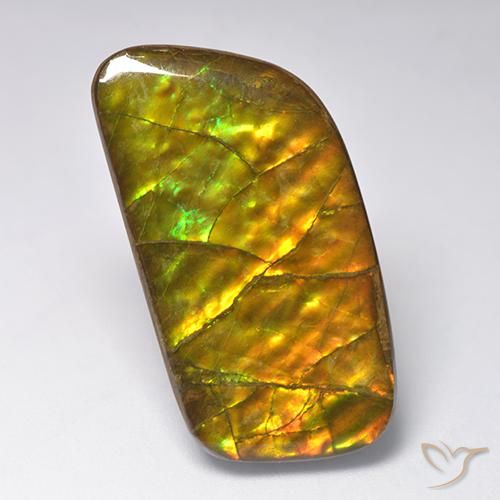 23.24ct 자연스러운 다색 암몰라이트, 팬시한, 불투명체