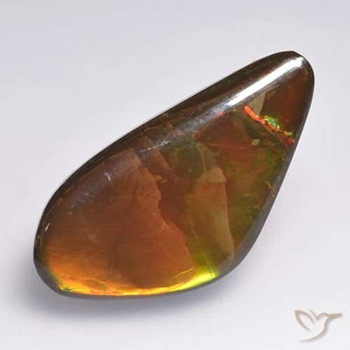13.86ct 자연스러운 다색 암몰라이트, 팬시한, 불투명체