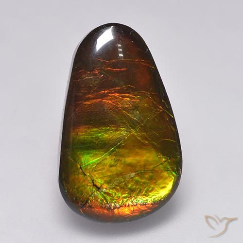 12.85ct 자연스러운 다색 암몰라이트, 팬시한, 불투명체