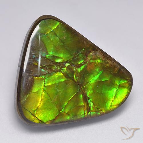 17.90ct 자연스러운 다색 암몰라이트, 팬시한, 불투명체