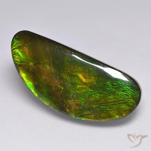 18.57ct 자연스러운 다색 암몰라이트, 팬시한, 불투명체