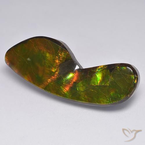 24.54ct 자연스러운 다색 암몰라이트, 팬시한, 불투명체