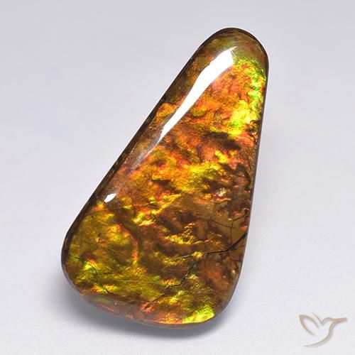 18.34ct 자연스러운 다색 암몰라이트, 팬시한, 불투명체