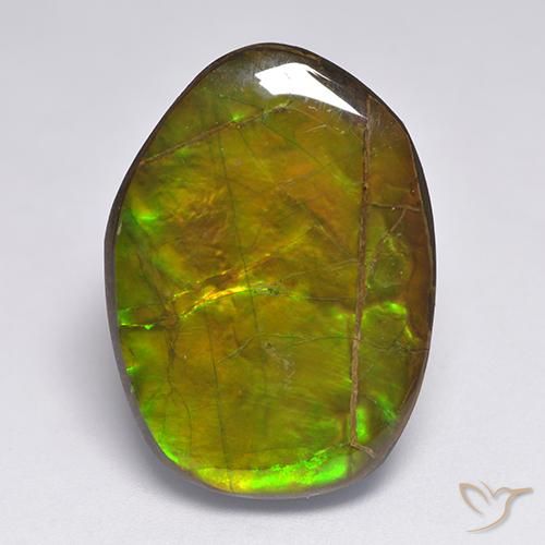 20.63ct 자연스러운 다색 암몰라이트, 팬시한, 불투명체