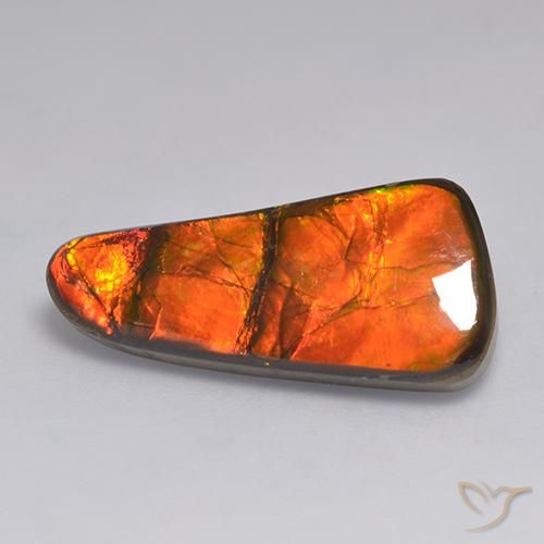 11.58ct 자연스러운 다색 암몰라이트, 팬시한, 불투명체