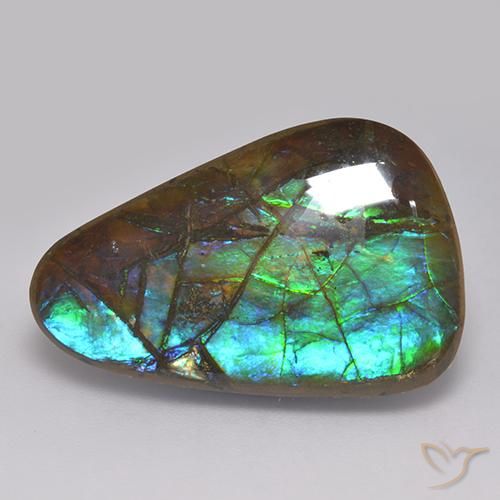 17.82ct 자연스러운 다색 암몰라이트, 팬시한, 불투명체