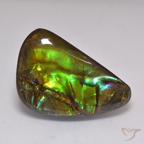 19.60ct 자연스러운 다색 암몰라이트, 팬시한, 불투명체