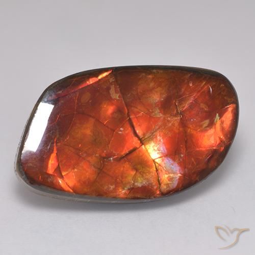 20.30ct 자연스러운 다색 암몰라이트, 팬시한, 불투명체