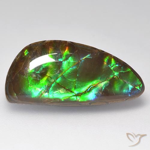 10.29ct 자연스러운 다색 암몰라이트, 팬시한, 불투명체