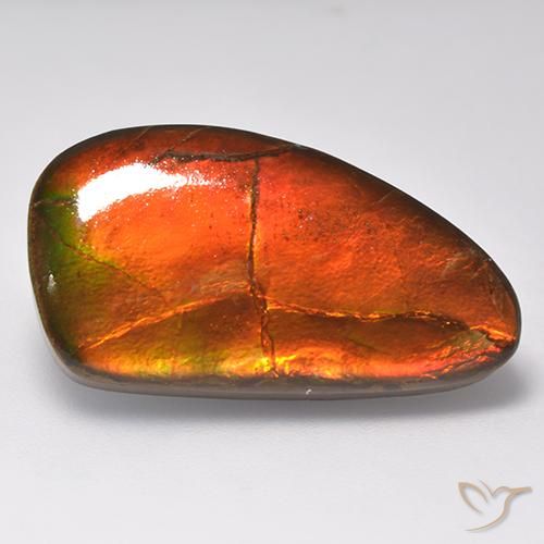 16.93ct 자연스러운 다색 암몰라이트, 팬시한, 불투명체