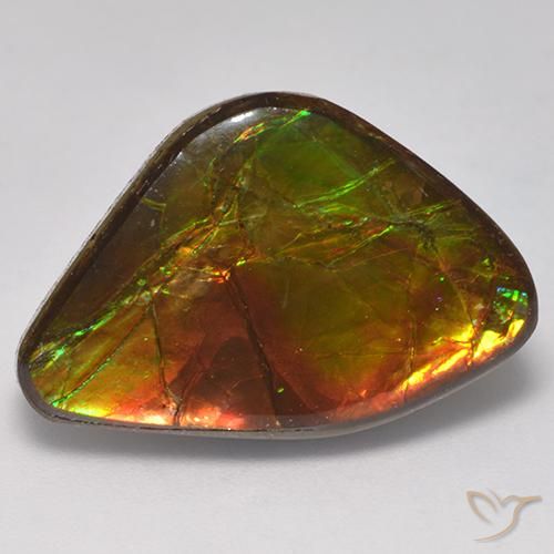 14.18ct 자연스러운 다색 암몰라이트, 팬시한, 불투명체