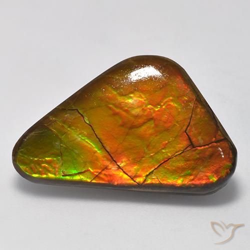 13.81ct 자연스러운 다색 암몰라이트, 팬시한, 불투명체