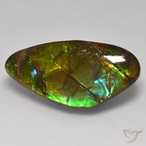13.97ct 자연스러운 다색 암몰라이트, 팬시한, 불투명체