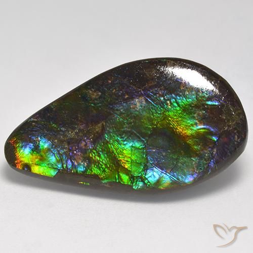 18.05ct 자연스러운 다색 암몰라이트, 팬시한, 불투명체
