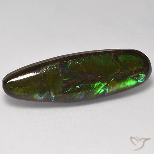 10.95ct 자연스러운 다색 암몰라이트, 팬시한, 불투명체