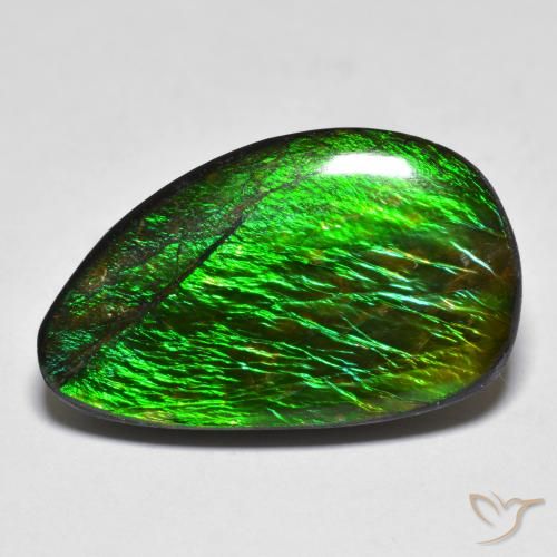 12.81ct 자연스러운 다색 암몰라이트, 팬시한, 불투명체