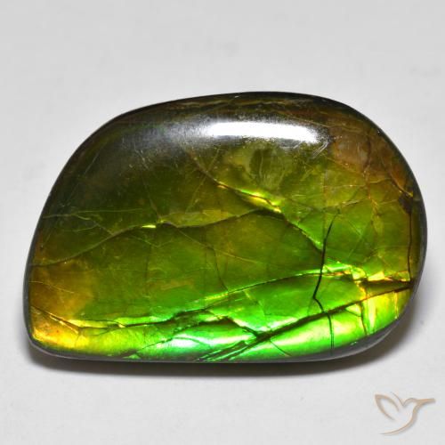 16.89ct 자연스러운 다색 암몰라이트, 팬시한, 불투명체