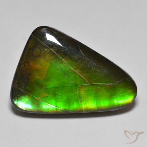 15.34ct 자연스러운 다색 암몰라이트, 팬시한, 불투명체