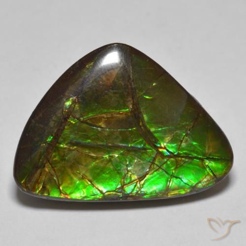 10.78ct 자연스러운 다색 암몰라이트, 팬시한, 불투명체