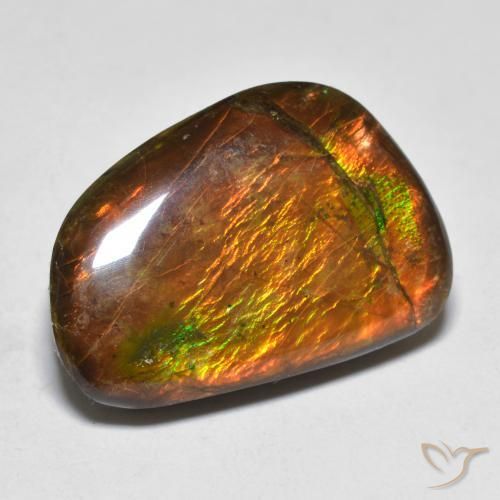 16.39ct 자연스러운 다색 암몰라이트, 팬시한, 불투명체