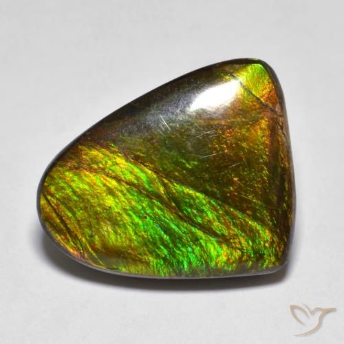 10.20ct 자연스러운 다색 암몰라이트, 팬시한, 불투명체