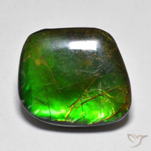 11.10ct 자연스러운 다색 암몰라이트, 팬시한, 불투명체