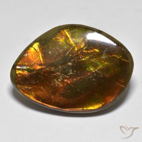 20.29ct 자연스러운 다색 암몰라이트, 팬시한, 불투명체