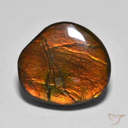 11.11ct 자연스러운 다색 암몰라이트, 팬시한, 불투명체