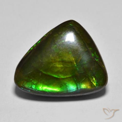 12.07ct 자연스러운 다색 암몰라이트, 팬시한, 불투명체