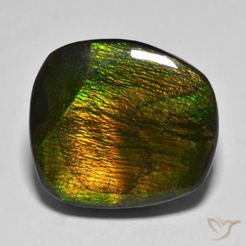 15.88ct 자연스러운 다색 암몰라이트, 팬시한, 불투명체